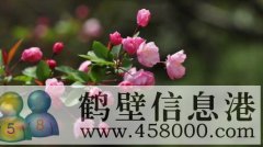 黎阳路半坡店社区整套出租