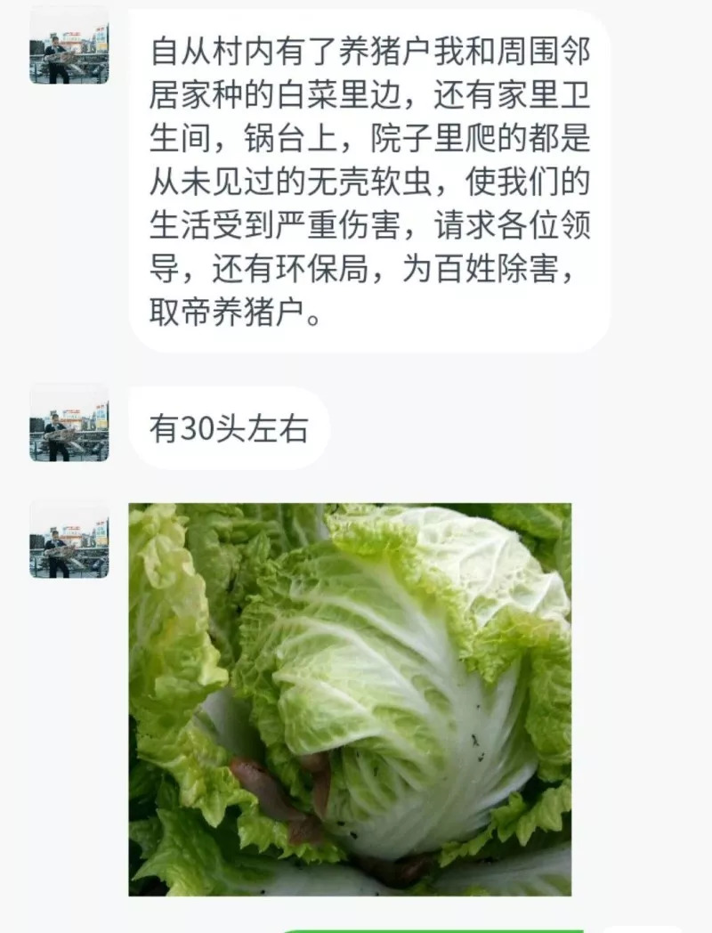 被猪侵犯了？！鹤壁一男子竟然忍了三年？网友曝：除了猪还有这货